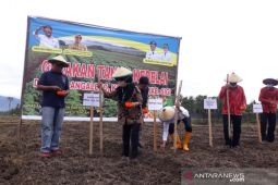 Peneliti sebut Indonesia perlu diversifikasi negara pemasok kedelai