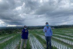Dukung Food Estate, BMKG tinjau Food Estate Humbahas