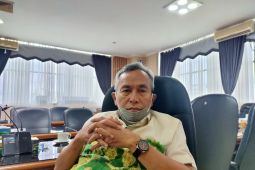 Jabatan fungsional dan penyederhanaan struktural Kalteng bisa jadi rujukan Kalsel