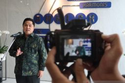 Erick Thohir akan bentuk subholding PLN untuk perkuat bisnis listrik