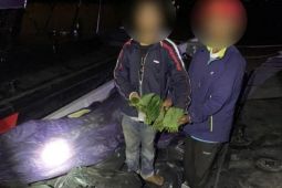 Petugas maritim Malaysia gagalkan penyelundupan lima ton daun ketum