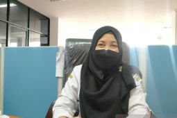 Kepatuhan pajak pengusaha walet di Belitung dinilai rendah