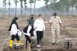 Pembersihan lahan sebagian lokasi hunian sementara di Lumajang tunggu panen cabai