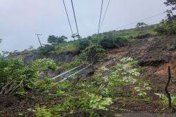 PLN kerahkan sebanyak 225 petugas pulihkan suplai listrik di Jayapura