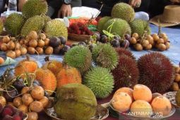 Buah buahan Kalsel mulai bermunculan