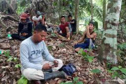 BKSDA dan warga halau harimau