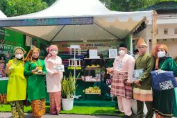 RSJ Jambi pamerkan hasil kriya pasien rehabilitasi mental