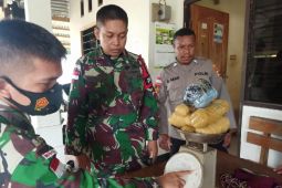 Satgas TNI Yonif 711 amankan barang bukti ganja di perbatasan RI-PNG