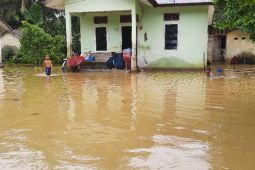 Ini gampong terendam banjir di Aceh Jaya