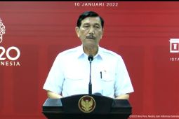 Luhut minta masyarakat tahan diri ke luar negeri