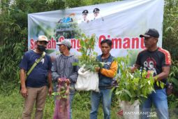 Pemkab Garut bersama komunitas lingkungan tanam pohon cegah bencana