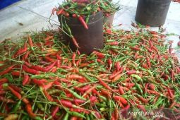 Harga sayuran melambung di Banjarmasin