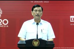 Alasan pemerintah buka ekspor batu bara, bagaimana pasokan ke PLN?