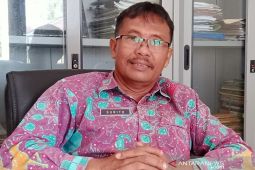 Kabupaten Penajam tekan konsumsi beras melalui diversifikasi pangan