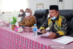Legislator : perlu koordinasi Kalsel dan Kalteng dalam pengawasan pangan