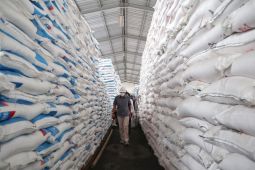 Pupuk Indonesia: stok bahan baku pupuk masih aman