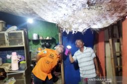 Tiga rumah rusak akibat hujan dan tertimpa pohon di Garut