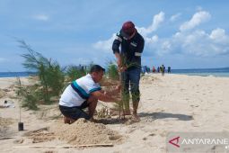 Restorasi Lingkungan, PT Timah Tanam Cemara Laut