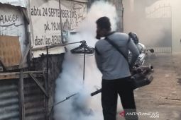 Pemkot Denpasar gencarkan "fogging" cegah DBD