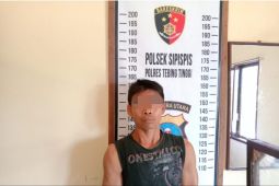 Satpam bekuk ninja sawit kebun PTPN III Gunung Pamela