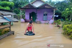Tujuh RT di Kabupaten Penajam terendam banjir