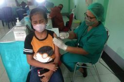 Dinas Kesehatan: Belum ada laporan KIPI vaksinasi anak di Ambon, begini penjelasannya