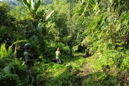Cari sisa DPO, Satgas sisir wilayah hutan Sigi hingga Lembah Napu Poso