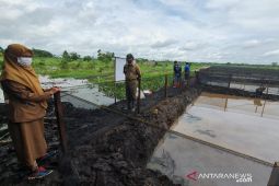 HST dicanangkan sebagai Kampung Haruan di Indonesia