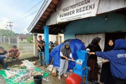 Pro-IDe Unja olah batang pisang dan keong jadi pakan ternak