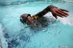 Renang Militer