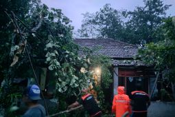 Dua rumah rusak terdampak bencana angin kencang di Kabupaten Trenggalek