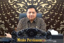 Airlangga dorong lembaga audit G20 turut dalam pemulihan ekonomi