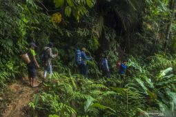 Forestry sector to contribute to 60-pct reduction in carbon emissions