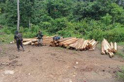 Tim gabungan musnahkan kayu ilegal di kawasan HP Air Rami Mukomuko