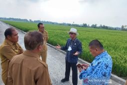 Kekurangan bahan baku picu kenaikan harga pupuk di Sumut
