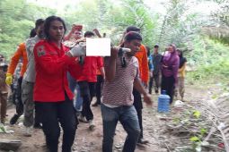 Bocah SD tewas diserang buaya saat mandi