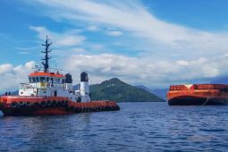 PLN dan Ditjen Minerba lakukan efektivitas pasokan batu bara