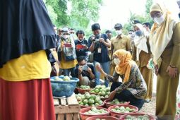 Gubernur Jatim dorong Pemkab Sumenep fasilitasi pengembangan budi daya srikaya