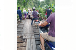 Jembatan kayu di jalan provinsi daerah Seberuang Kapuas Hulu nyaris roboh