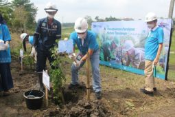 Indonesia Power persiapkan ribuan hektare lahan hutan tanaman energi