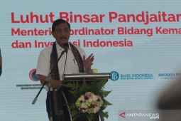 Luhut sebut UMKM tulang punggung ekonomi di daerah