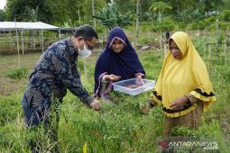 Wabup Gorontalo Utara mendukung pengembangan kebun PKK desa