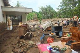 BPBD Jember: 239 rumah di lima kecamatan terdampak banjir bandang