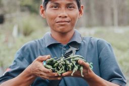 Petani milenial Martapura sukses kembangkan budidaya cabai