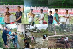 PNNB Sayurmatinggi buat 5 kolam budidaya ikan mendukung visi Bupati Tapsel