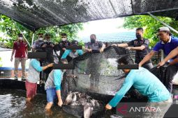 Lapas Karang Intan wujudkan kemandirian ekonomi bagi warga binaan
