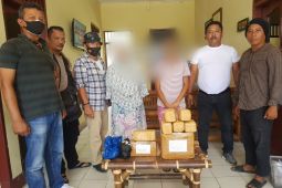 Polsek Pangkalan Susu amankan dua IRT kurir enam kilogram ganja tujuan Batam dan Malang