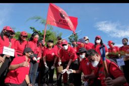 Gerakan menanam pohon HUT 49 PDIP
