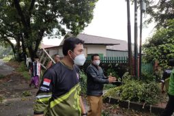 Hujan disertai angin kencang akibatkan puluhan pohon tumbang di beberapa titik jalan Kota Bogor
