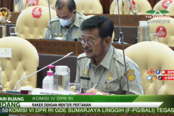Mentan: produksi sektor pertanian terus tumbuh di 2021